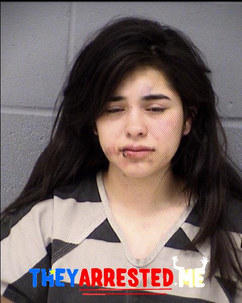 Clarissa Hernandez (TRAVIS CO SHERIFF)