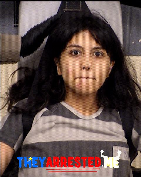 Sandra Resendiz (TRAVIS CO SHERIFF)